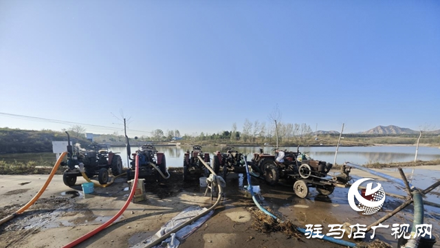 泌陽縣下碑寺鄉(xiāng)：全力促秋播 共繪田間好&ldquo;豐&rdquo;景