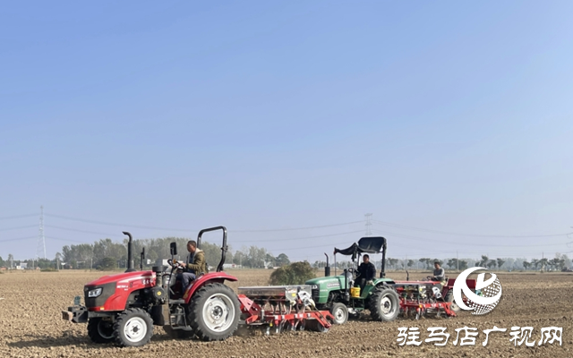 平輿縣鄉(xiāng)鎮(zhèn)田間呈現(xiàn)出一幅&ldquo;人勤秋種忙&rdquo;的農(nóng)忙景象