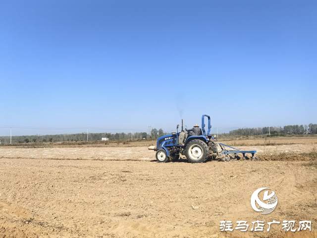 驛城區(qū)沙河店鎮(zhèn)：秋收秋種不誤時(shí) 搶收搶種繪&ldquo;豐&rdquo;景