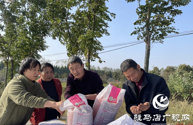 &ldquo;科技大餐&rdquo;送田間 平輿縣搶抓農(nóng)時(shí)確保冬小麥應(yīng)播盡播