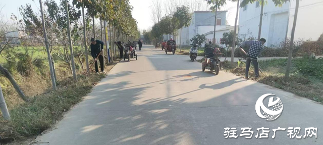 平輿縣李屯鎮(zhèn):黨建引領(lǐng)“助”整治 人居環(huán)境“亮”新顏