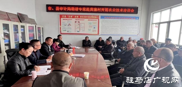 平輿縣辛店鄉(xiāng):良種良田配良技豐產(chǎn)增收靠科技