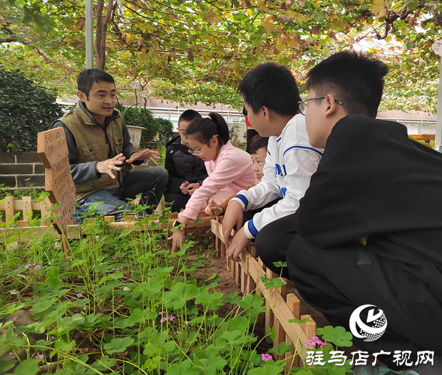 開展研學實踐 探索自然奧秘