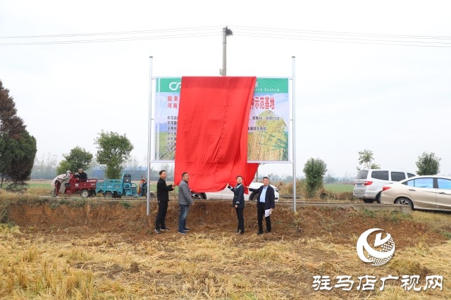 確山縣留莊鎮(zhèn)粳稻新品種種植示范基地揭牌