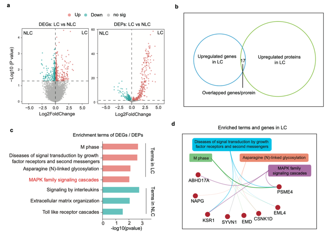 長新冠臨床癥狀有何不同？持續(xù)時間多長？來看張文宏團(tuán)隊(duì)最新研究
