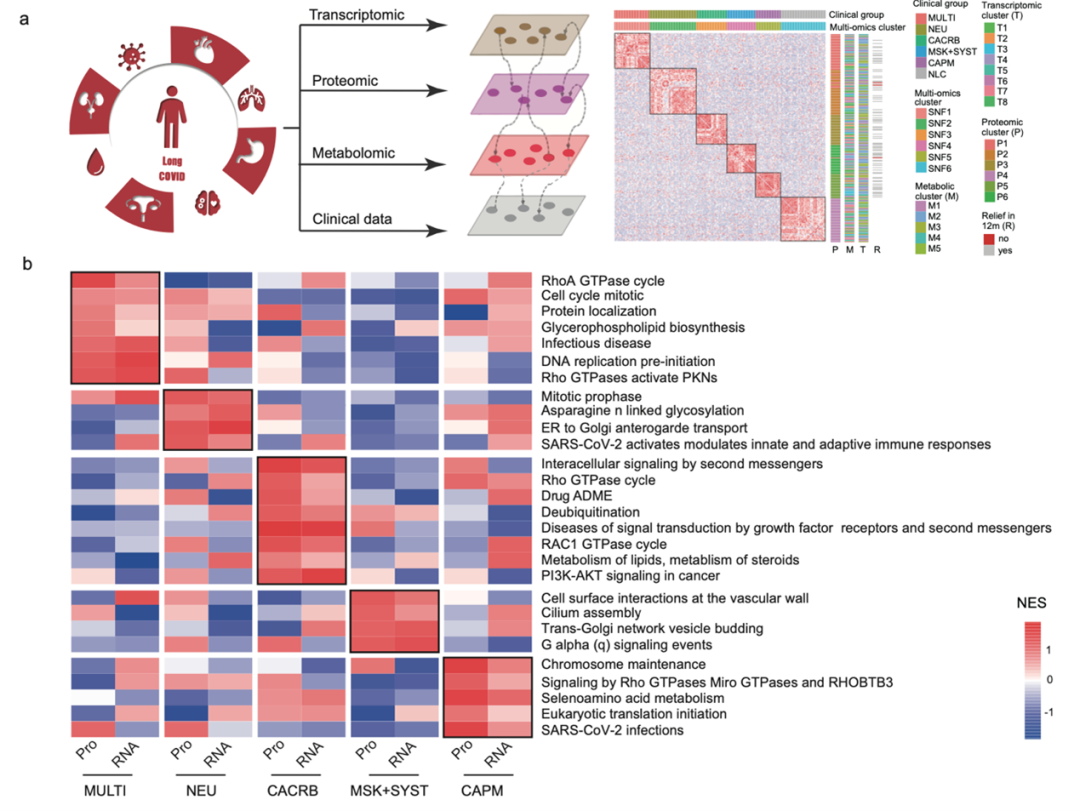 長新冠臨床癥狀有何不同？持續(xù)時間多長？來看張文宏團(tuán)隊(duì)最新研究