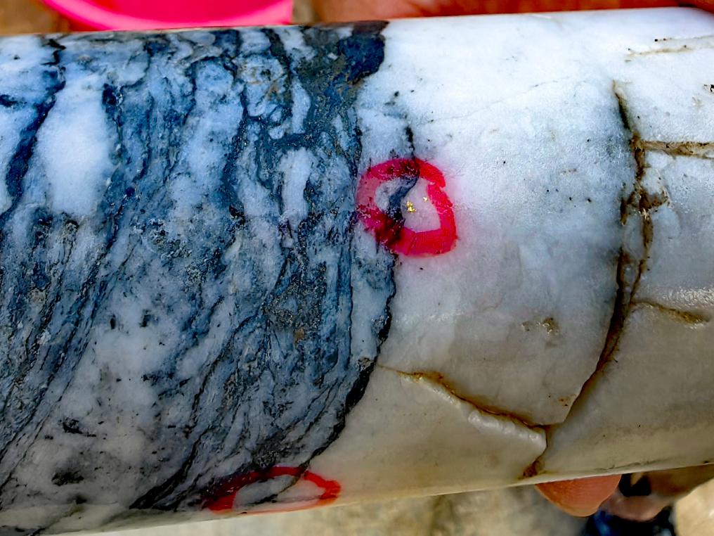 重大突破！一地發(fā)現(xiàn)超40條金礦脈