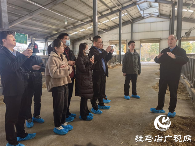 2024·鄉(xiāng)村振興看河南:駐馬店奏響鄉(xiāng)村振興進行曲