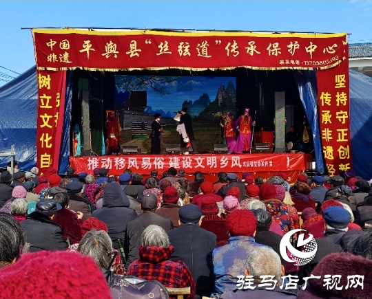 平輿縣:主題文化宣傳活動 讓群眾在家門口樂享“文化大餐”