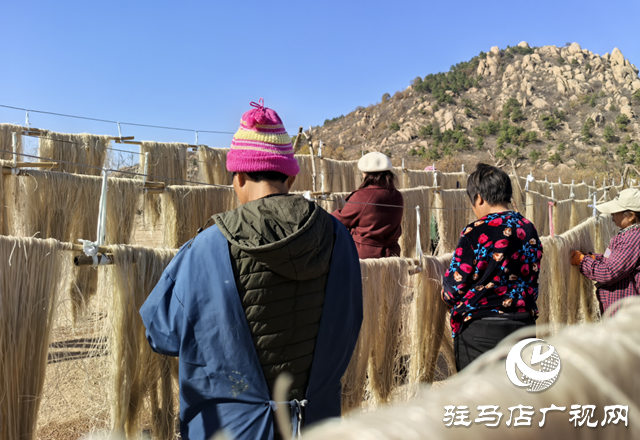 驛城區(qū)板橋鎮(zhèn):冬閑人不閑 紅薯粉條加工忙