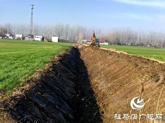 平輿縣李屯鎮(zhèn):打通田間“微循環(huán)” 搭建民生“連心橋”