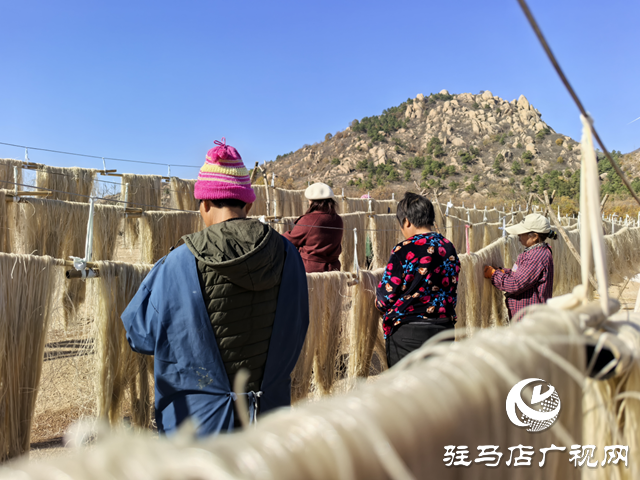 駐馬店市驛城區(qū):紅薯產(chǎn)業(yè)鼓起村民“錢袋子”