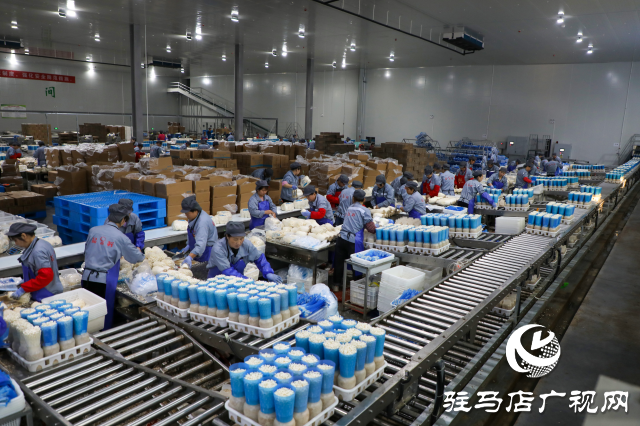 泌陽(yáng)縣:推動(dòng)食用菌產(chǎn)業(yè)高質(zhì)量發(fā)展