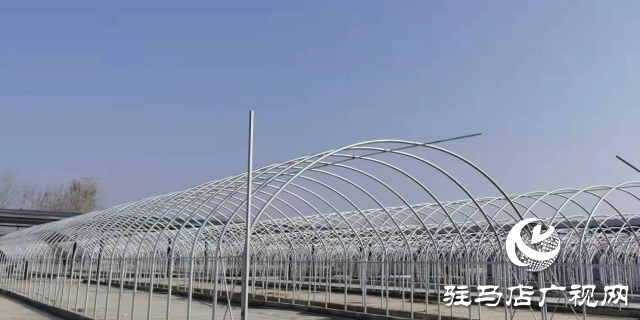 泌陽(yáng)縣:推動(dòng)食用菌產(chǎn)業(yè)高質(zhì)量發(fā)展