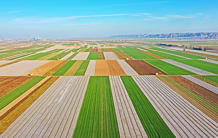 2024圓夢時(shí)刻 鄉(xiāng)村振興篇丨田疇“耕”新 沃野織錦