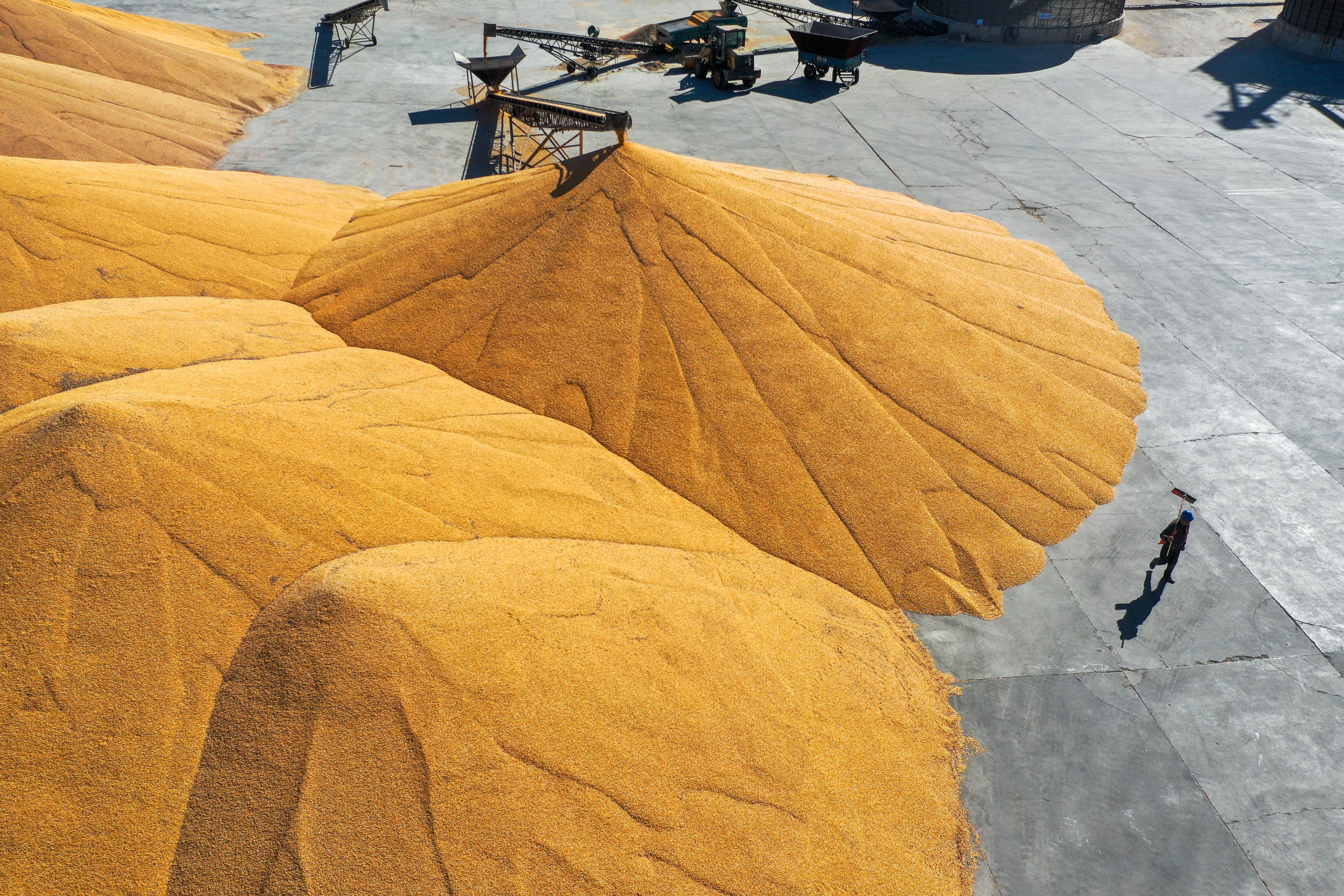 今年糧食收購量預(yù)計(jì)八千四百億斤左右 連續(xù)兩年超八千億斤