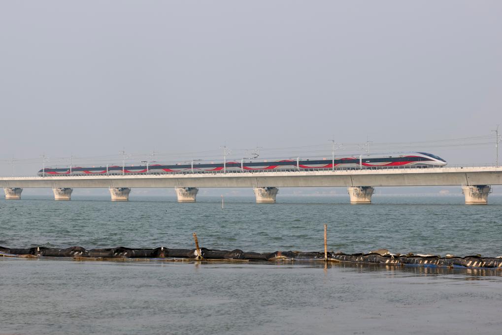 在軌道上飛馳:60s回顧2024上海交通網(wǎng)絡(luò)建設(shè)