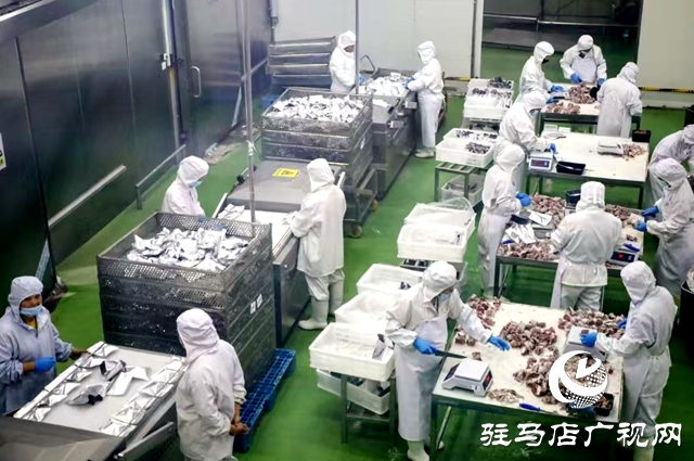 駐馬店:高質(zhì)量抓好“牛”經(jīng)濟(jì) “兩牛”產(chǎn)業(yè)促振興