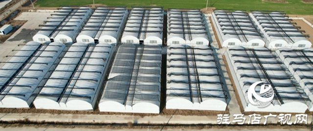 正陽縣熊寨鎮(zhèn)毛集村:菌菇撐起“增收傘” 鄉(xiāng)村綻放“幸?;ā? width=