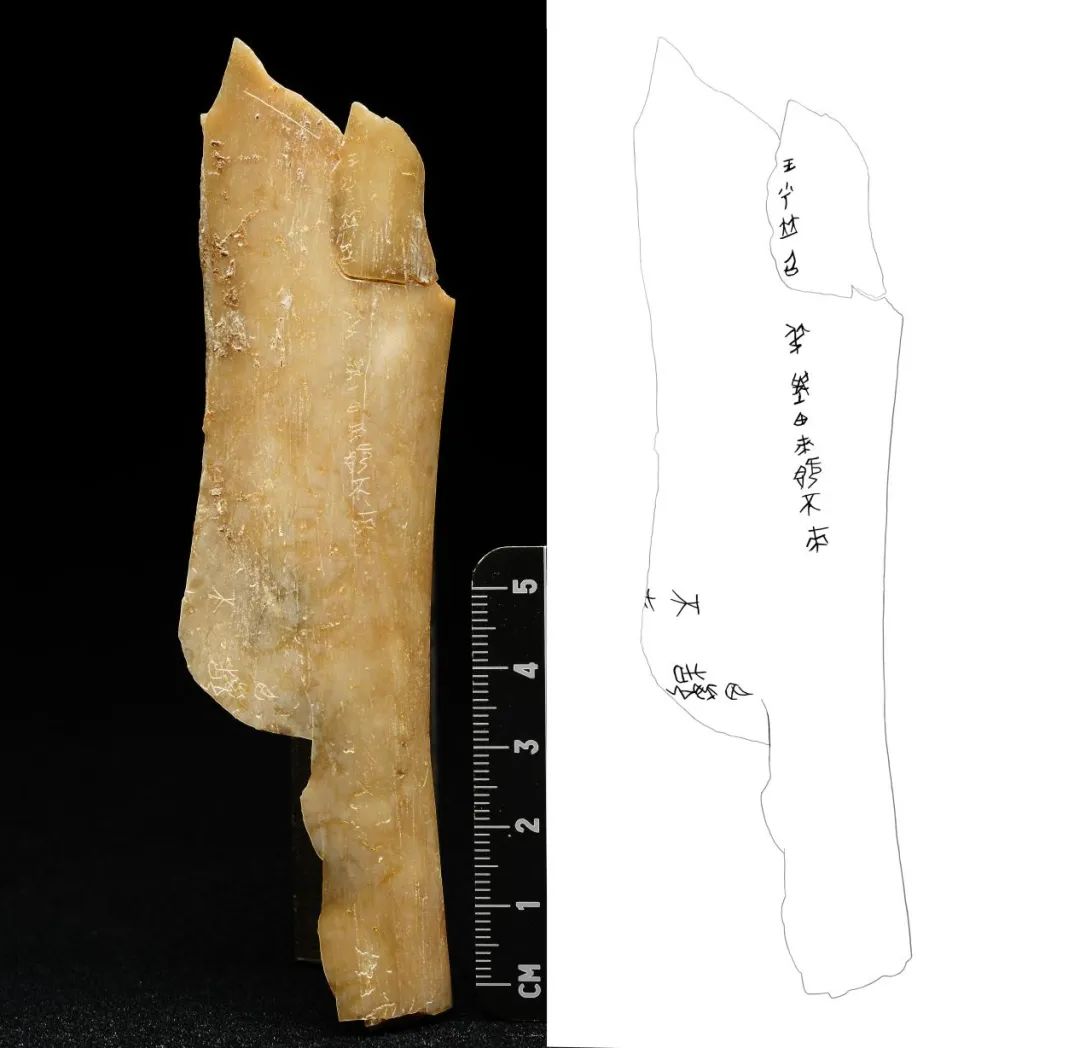 重大發(fā)現(xiàn)！首次出土有&ldquo;秦人&rdquo;字樣甲骨