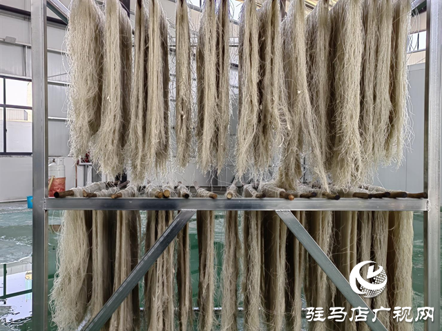 泌陽縣郭集鎮(zhèn):紅薯產(chǎn)業(yè)鋪就鄉(xiāng)村振興“快車道”