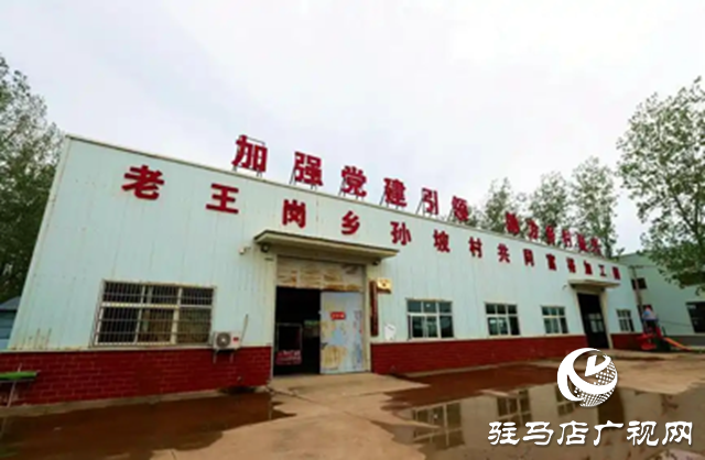 平輿縣：&ldquo;三園&rdquo;同構產業(yè)興 鄉(xiāng)村振興有&ldquo;底色&rdquo;