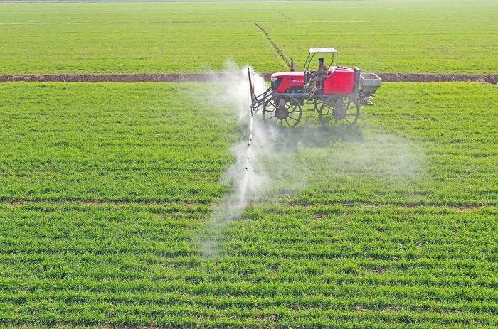 2025年“三農(nóng)”工作怎么干?三個(gè)關(guān)鍵詞解讀