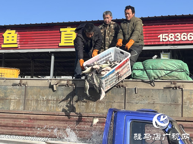 需求攀升供應充足 駐馬店節(jié)前水產(chǎn)品市場購銷兩旺