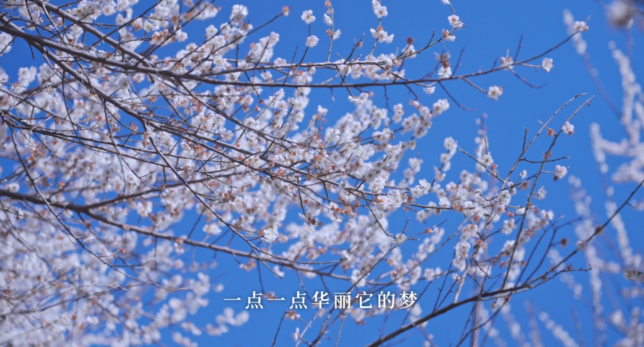 立春：愿人隨春好，春與人宜