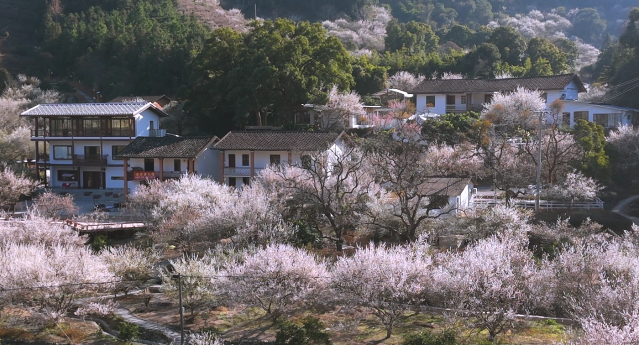 立春：愿人隨春好，春與人宜