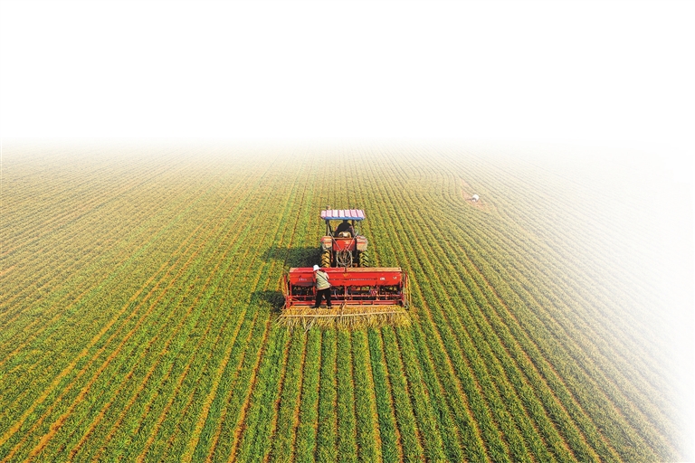 麥田里的“智慧大腦” ——“人勤春早 沃野耕新”系列報(bào)道①