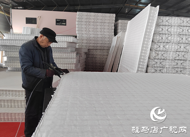 汝南縣張樓鎮(zhèn):“小車間”大作用 鋪就鄉(xiāng)村振興“快車道”