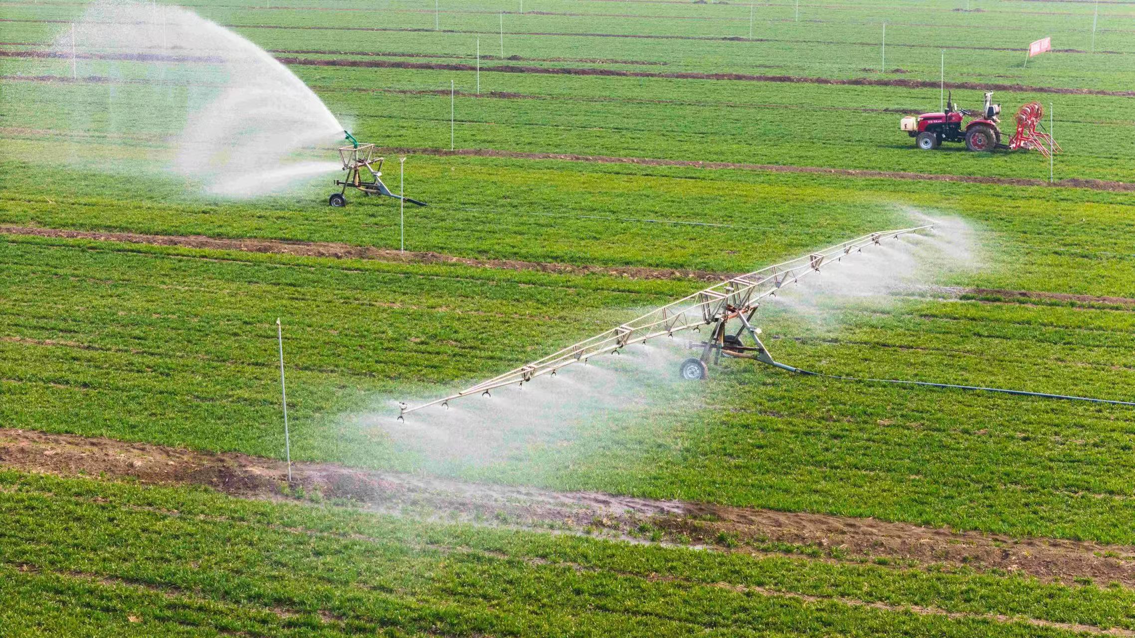【地評線】河聲丨科技賦能“種芯”，繪就河南豐收盛景