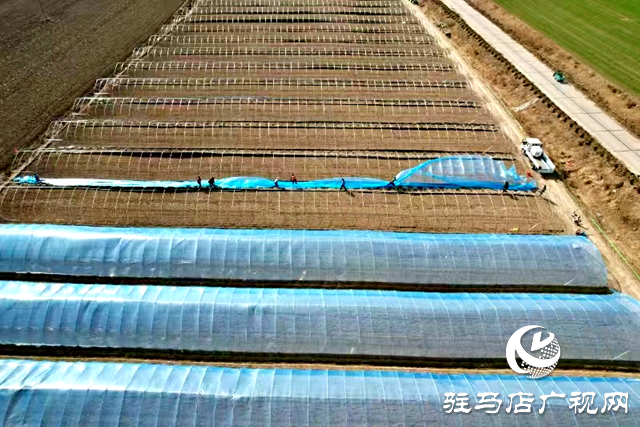 正陽縣:人勤春來早 春耕生產(chǎn)忙