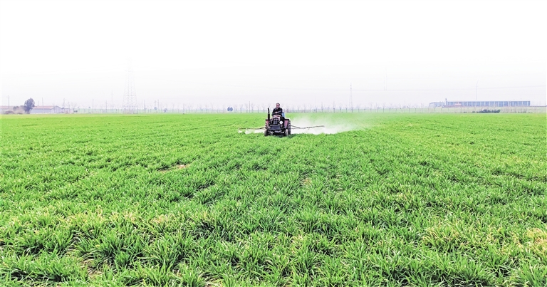 抓好春耕春管 夯實豐收基礎(chǔ)