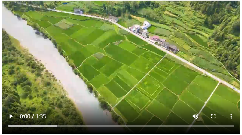 學習在理丨發(fā)展農(nóng)業(yè)新質(zhì)生產(chǎn)力 中央一號文件明方向