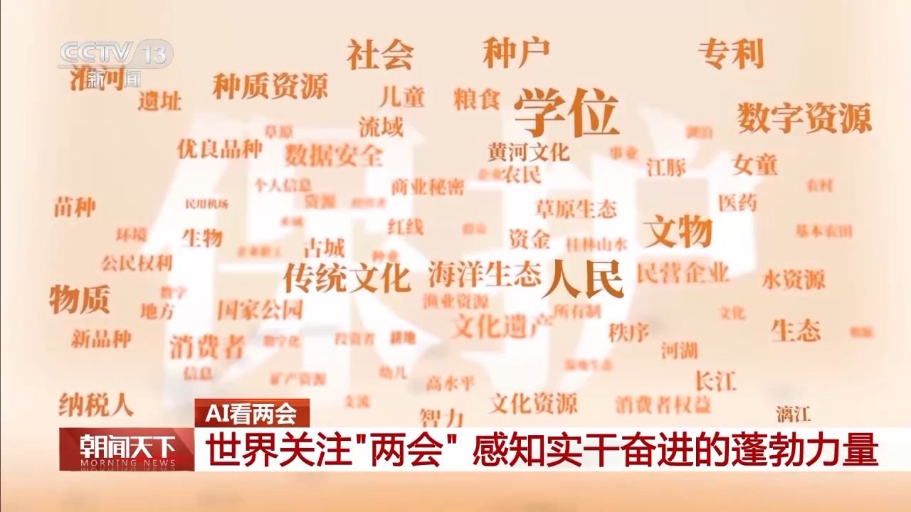 協(xié)商、調(diào)研、服務(wù)……AI帶你了解兩會(huì)高頻詞都有哪些