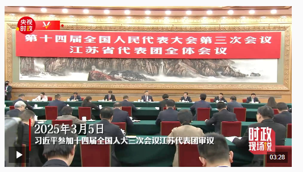 時(shí)政兩會說丨服務(wù)大局 勇挑大梁——總書記同全國人大代表共商國是