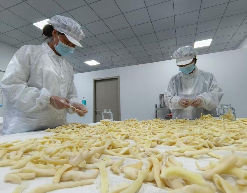 這些“三農”內容，讓農民增收有了新“密碼”