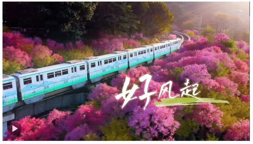 好風(fēng)起，即刻出發(fā)