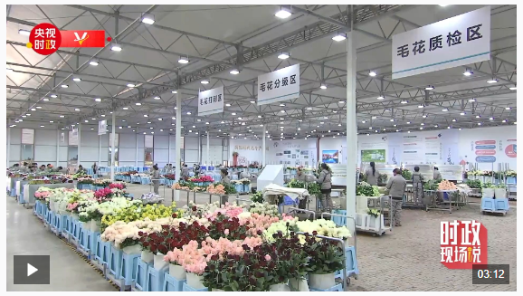 時政現(xiàn)場說丨“美麗產(chǎn)業(yè)”造福群眾 生活像花兒一樣美