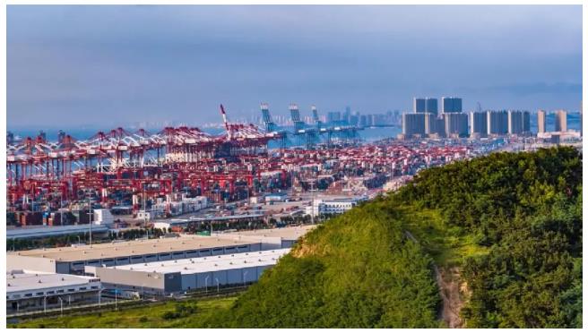 河南，向新疆、山東學(xué)什么｜豫觀察