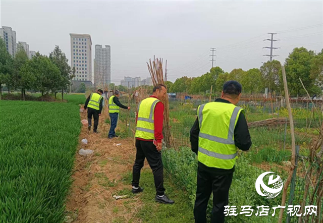  經(jīng)濟(jì)開發(fā)區(qū)金山辦事處集中開展禁種鏟毒踏查及禁種知識(shí)宣傳