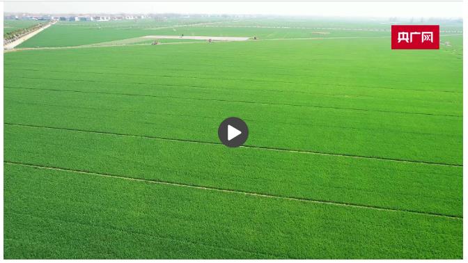 高質(zhì)量發(fā)展看中國(guó)丨千年農(nóng)耕遇上數(shù)字變革 “六情哨兵”守護(hù)中原糧倉