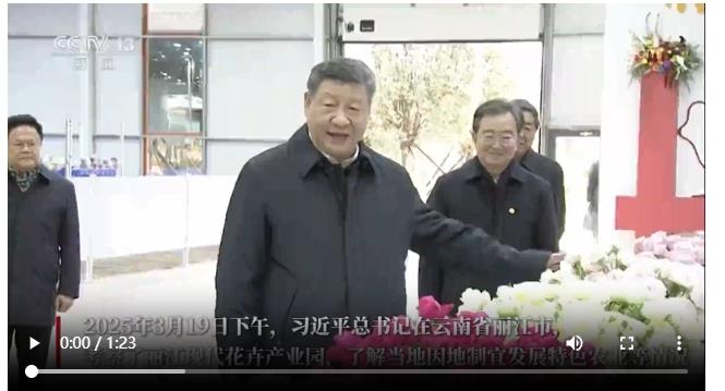 這份“美麗產(chǎn)業(yè)”為鄉(xiāng)村振興錦上添“花”