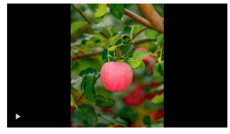 壹視界·任仲平之一｜黨的作風(fēng)關(guān)系人心向背