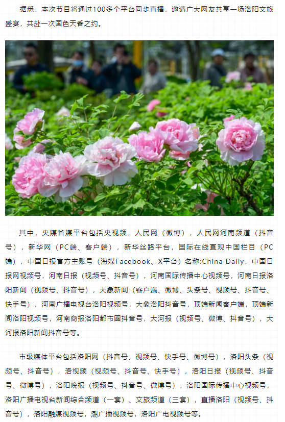 今晚8點(diǎn)，第42屆中國洛陽牡丹文化節(jié)線上開幕直播特別節(jié)目上演