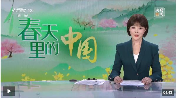 春天里的中國 河南 8500萬畝小麥正值拔節(jié)期