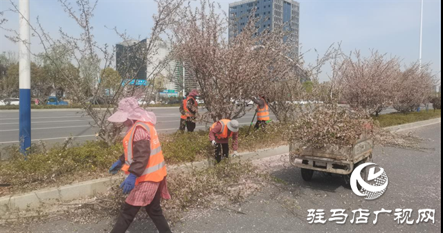  示范區(qū)城管局：全面開(kāi)展春季園林綠化養(yǎng)護(hù)工作
