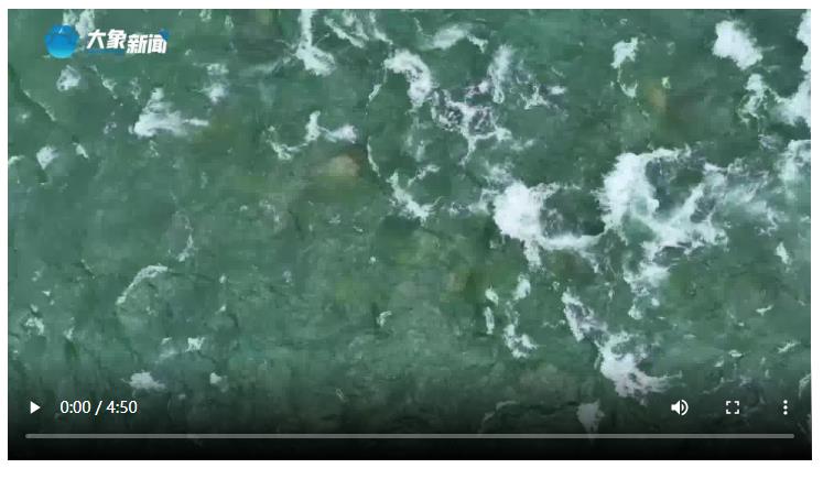 更好的日子還在后頭